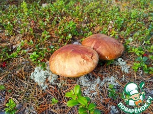 Белые грибы с помидорами и луком