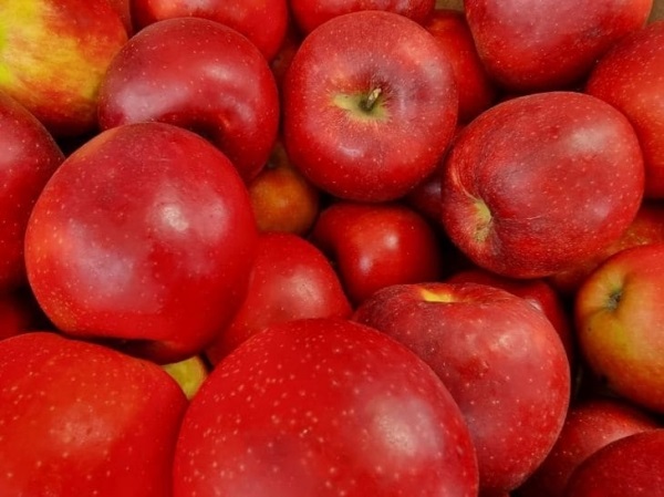 Что будет, если регулярно есть яблоки: 5 изменений, которые произойдут с человеком