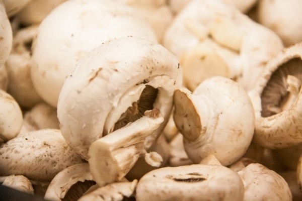 Почему нужно чаще есть грибы: медики назвали неожиданные причины